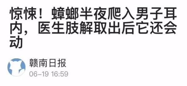 男子睡觉时遭蟑螂入耳，耳膜被咬穿听力下降，更恐怖的是蟑螂有个不为人知的偏好……