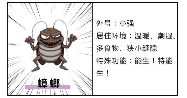 男子睡觉时遭蟑螂入耳，耳膜被咬穿听力下降，更恐怖的是蟑螂有个不为人知的偏好……