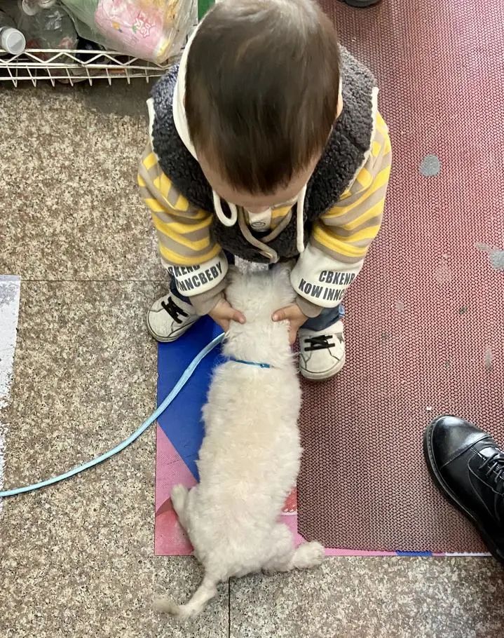 Ææ¼££¡Õã½Á¬ÌåŮӤ´æ»îÕߣ¬20Äêºó½á»éÉú×Ó£ºÕâÈÕ×Ó×öÃζ¼²»¸ÒÏë