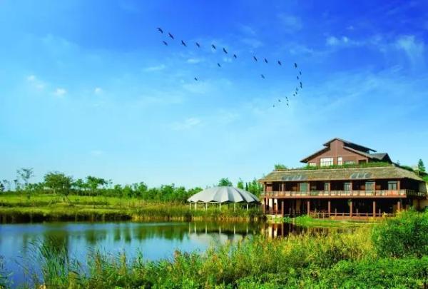 崇明东滩湿地公园 崇明岛东滩和西沙湿地公园-徐拾记官网