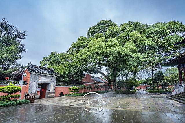 风雨兼程，遇见江西这边风景独好