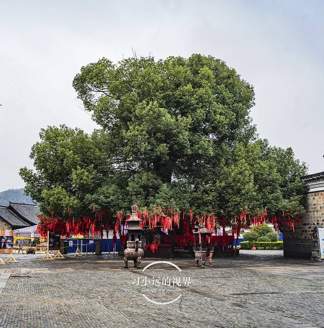 风雨兼程，遇见江西这边风景独好