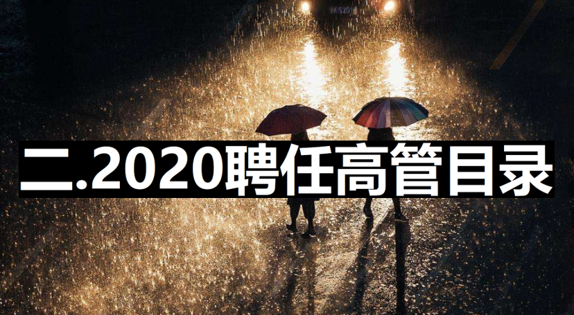 2020光伏高管离职与聘用名录