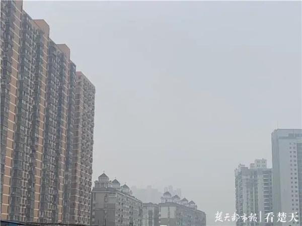 武汉：这些全部暂停