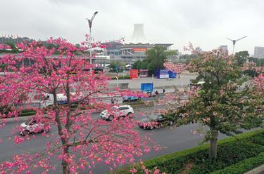 昼夜备战春运的铁路工人