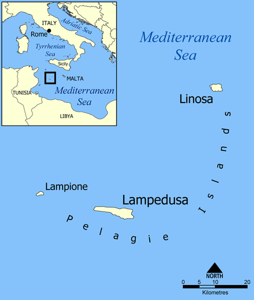 兰佩杜萨岛(意大利地平说拥护者认定兰佩杜萨岛是世界尽头 旅程以尴尬收场)