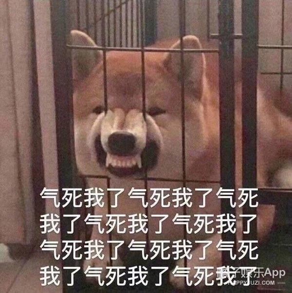 古今名人怼人合集！精准教学如何优雅地骂人，文化人打架有点东西
