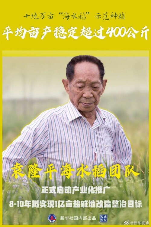 袁隆平海水稻目标,袁隆平提出发展海水稻目标