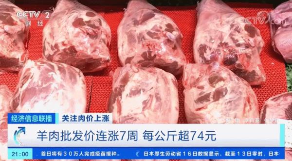 羊肉今日价2020年，新发地羊肉价格今日价