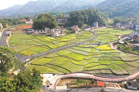 丰顺县砂田镇南洋村图片