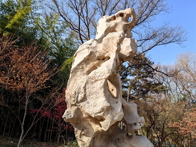 什么手机像素最高（推荐四款拍照清晰的手机）