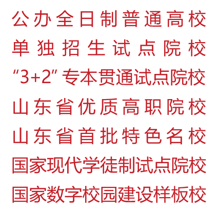 定了！2021年山东工业职业学院单招综评计划招2300人