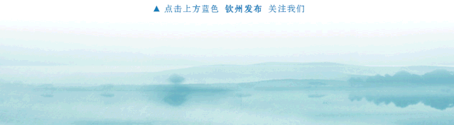 网眼看教育｜了解一下？钦州中小学生午托服务