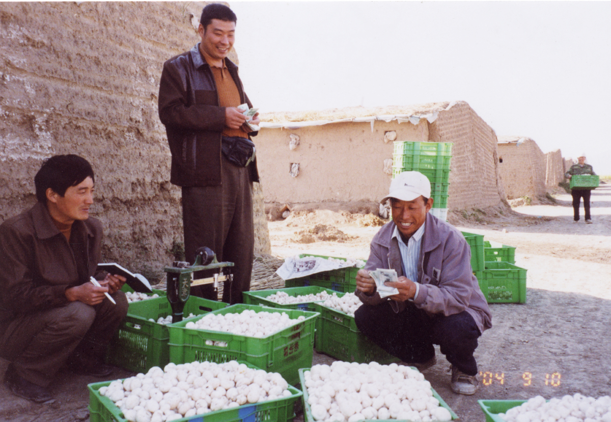 北京时间2010年3月26日凌(对话｜《山海情》凌一农原型林占熺教授：现实更艰苦、更曲折)