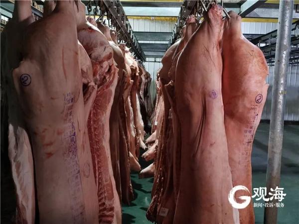 猪肉19.9元/斤！青岛政府储备肉菜来了，108处地点公布