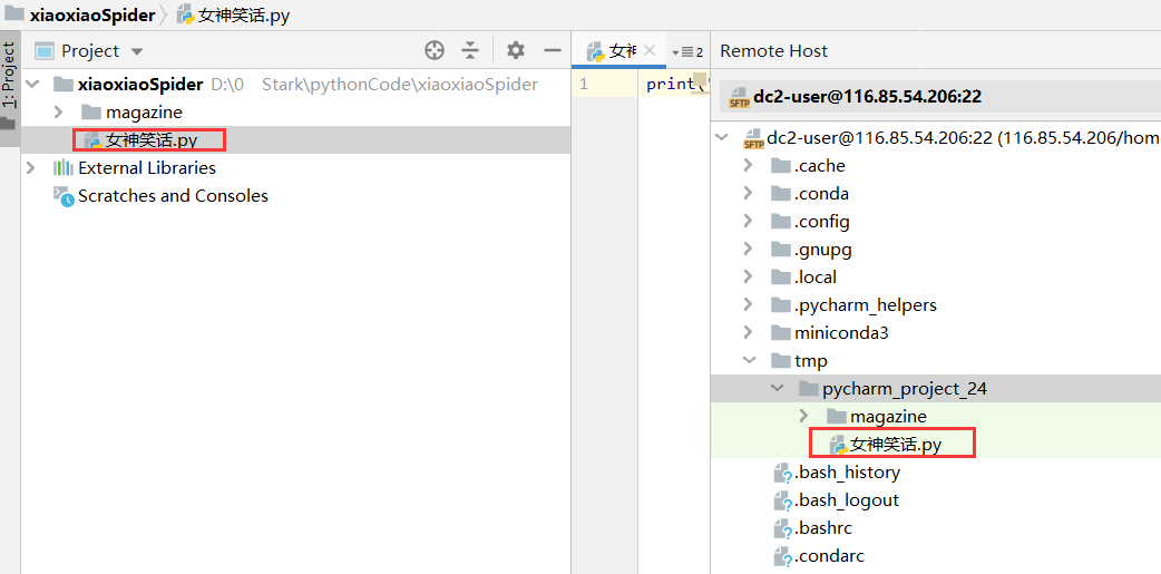 用Pycharm连接远程Python环境