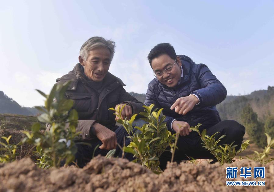 李忠伟(“奔跑”达人李忠伟：以行践诺 无问西东)