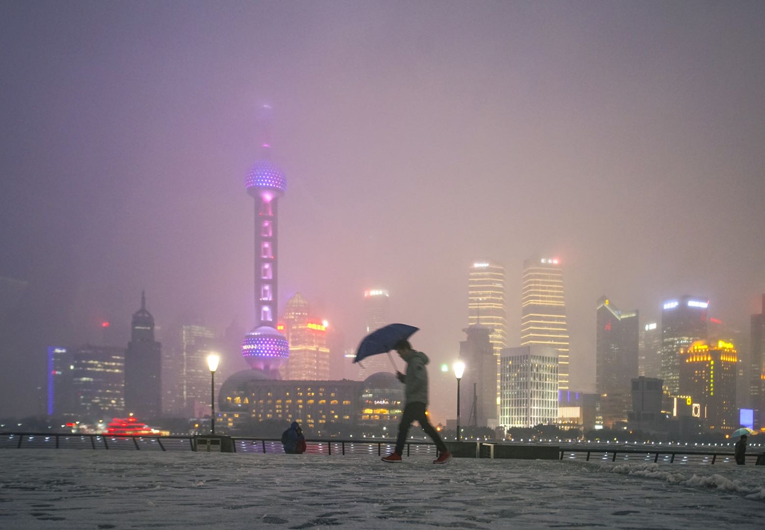 上海的冬天，骨骼清奇中美丽冻人