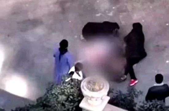 扬州11岁女生从19楼坠亡：你错了，凶手不是寒假作业