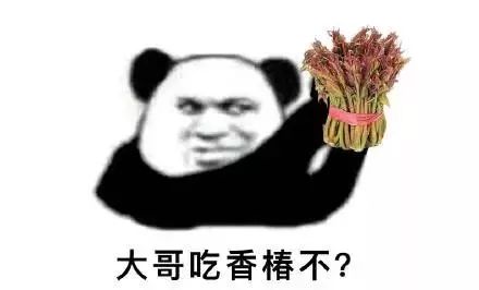今日成都大葱价格，今日成都大葱批发价格