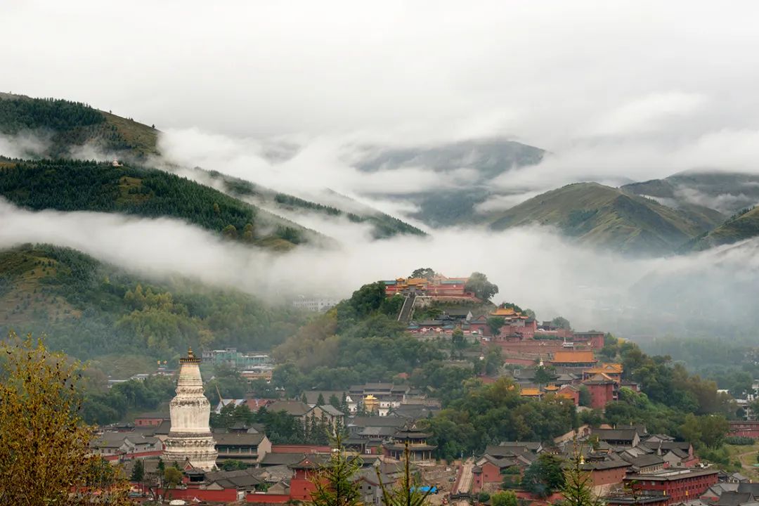 ʫԶ(yu)ʲô˼ʫԶ(yuan)Ԣʲô-12ͼƬ-Ʒ