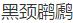 黑龙江省新增国家一级保护动物14种、二级保护动物26种