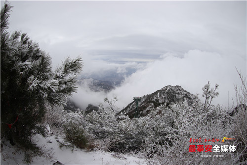 青山不老雪白头，寒酥点点覆青枝