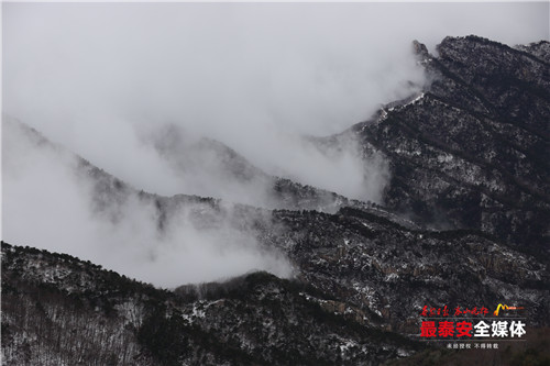 青山不老雪白头，寒酥点点覆青枝