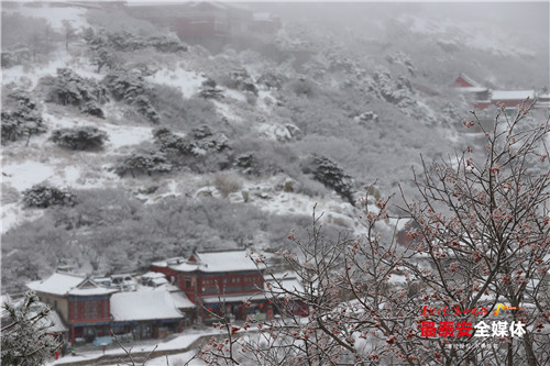 青山不老雪白头，寒酥点点覆青枝