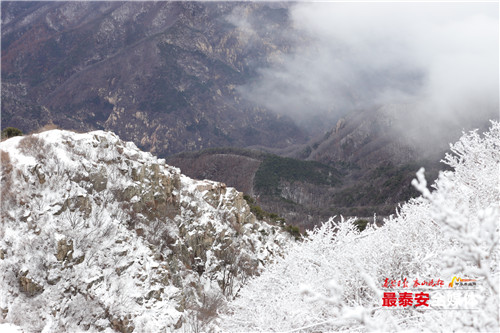 青山不老雪白头，寒酥点点覆青枝