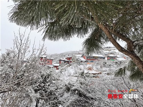 青山不老雪白头，寒酥点点覆青枝