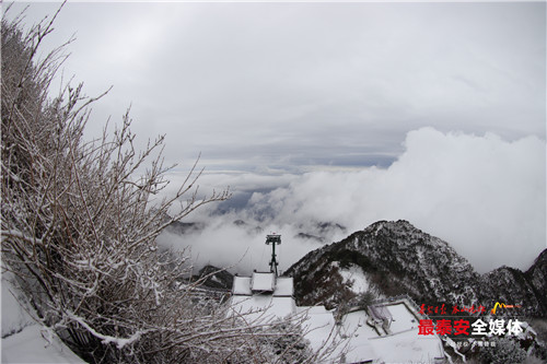 青山不老雪白头，寒酥点点覆青枝