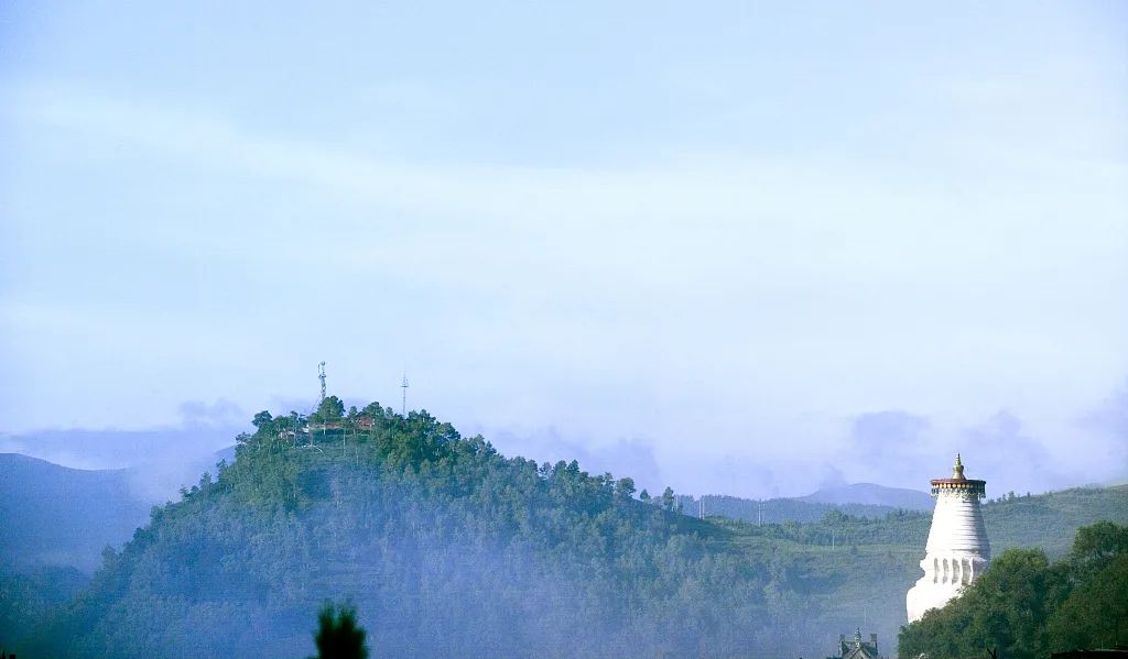 ʫԶ(fang)ʲô˼ʫԶԢʲô