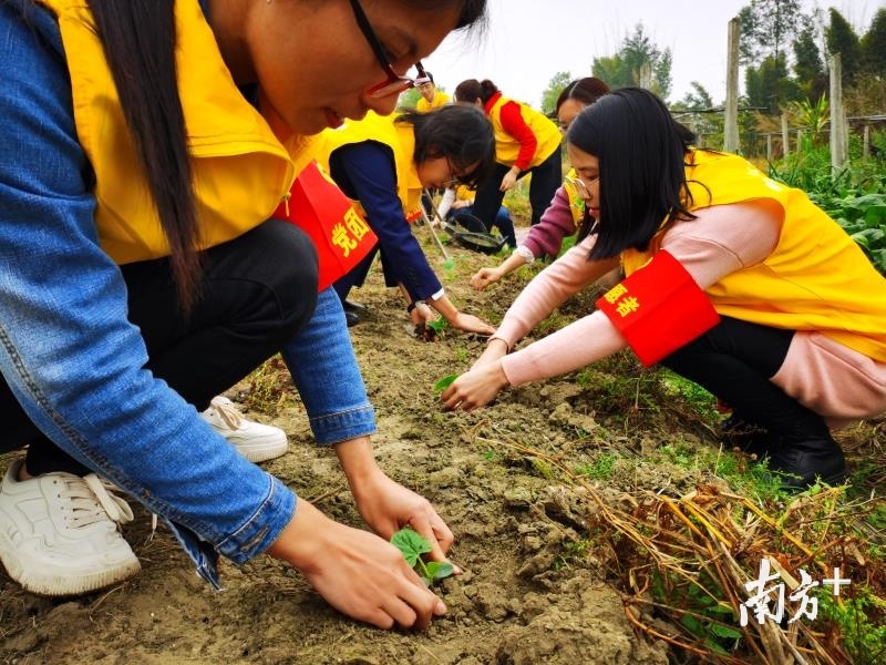 揭阳揭西金和镇足球队(第58个学雷锋日，汕梅高速人走进揭阳山湖村播种春天的“希望”)