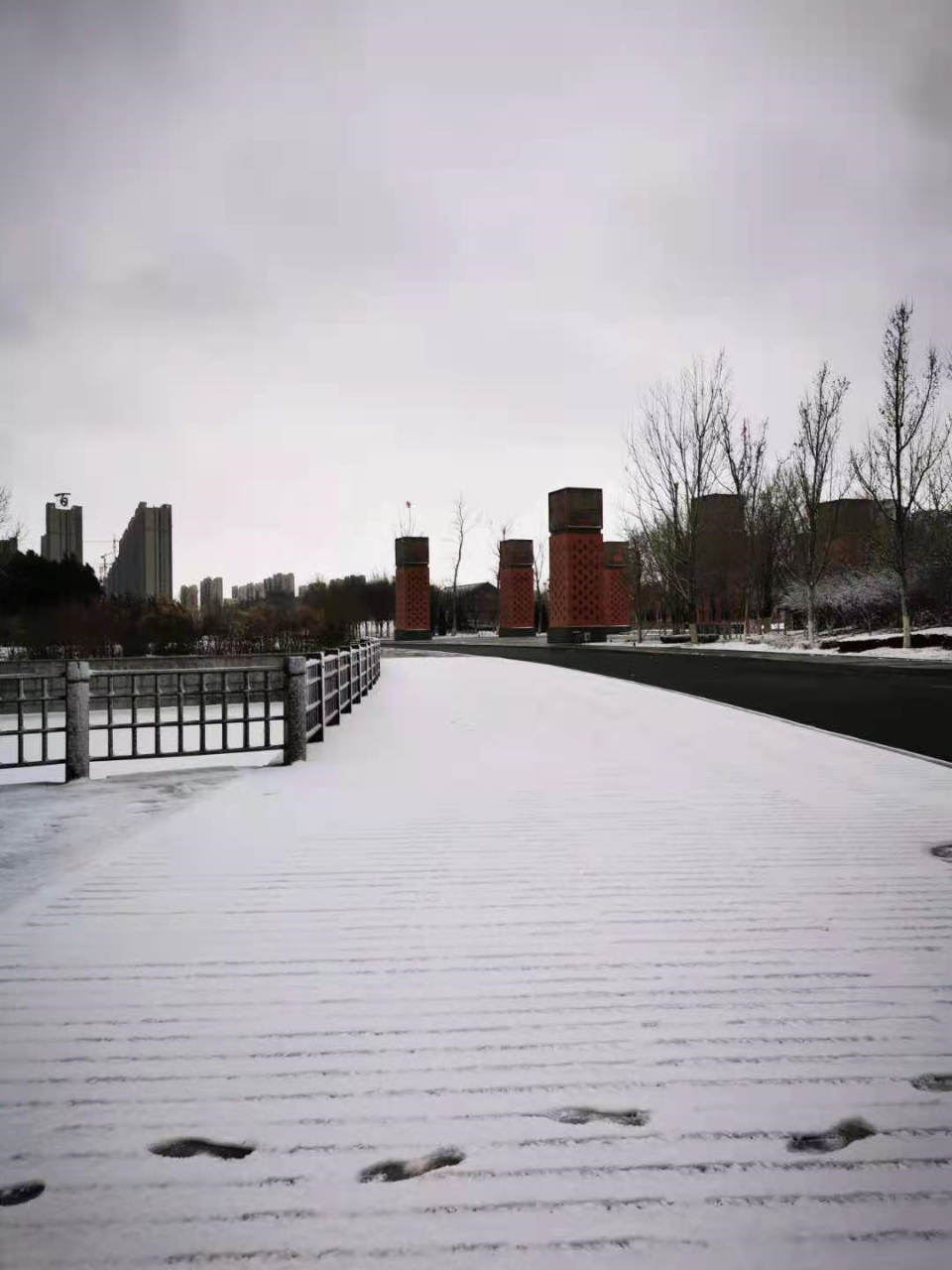 【春雪惊梦】早春风起，白雪纷飞如絮舞，寒意未散已透出初暖。