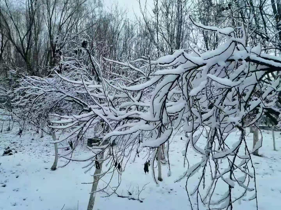 早春飞白雪，瑞气绕百川