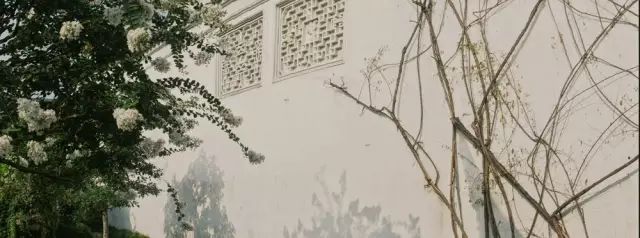 静念园林好，假山错落幽。