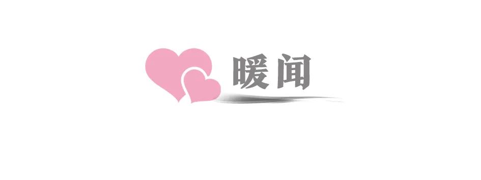快收藏！找工作看準這56家省級招聘網站