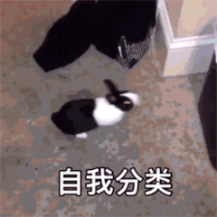 这些你天天都用的东西属于什么垃圾？来测测你能答几分