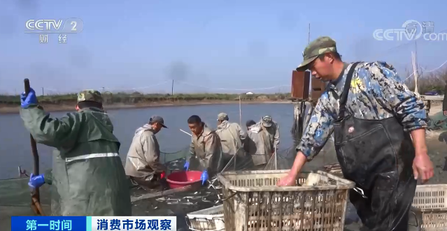 鳝鱼价格行情今日价河北（西安鳝鱼价格行情）