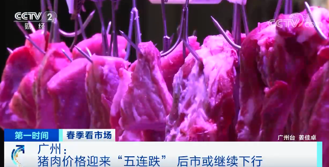 广州猪肉价格今日价走势（广州猪肉零售价格今日价）