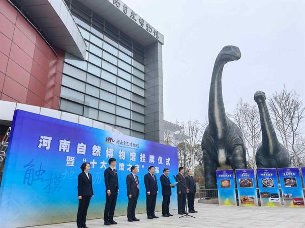 河南自然博物馆发布首批十大镇馆之宝，都是哪些？