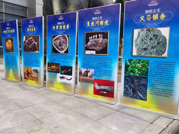 河南自然博物馆发布首批十大镇馆之宝，都是哪些？