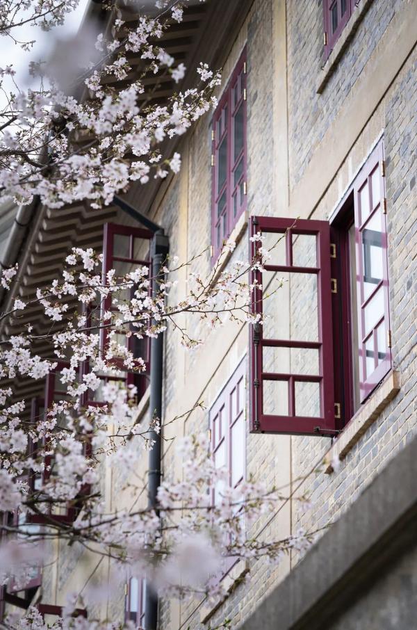 二月二，龙抬头，一切都是好兆头