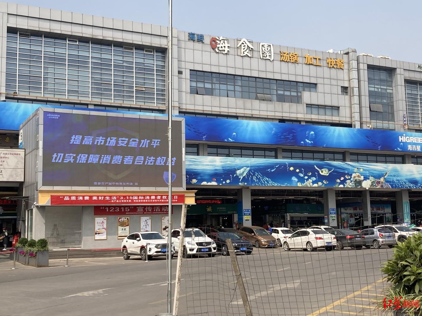 靠吃消滅入侵膠州灣的海星？成都市場有賣，但商家說“派大星”肉質不行……
