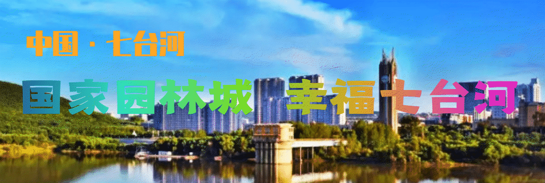 王文力到七台河职业技师学院调研