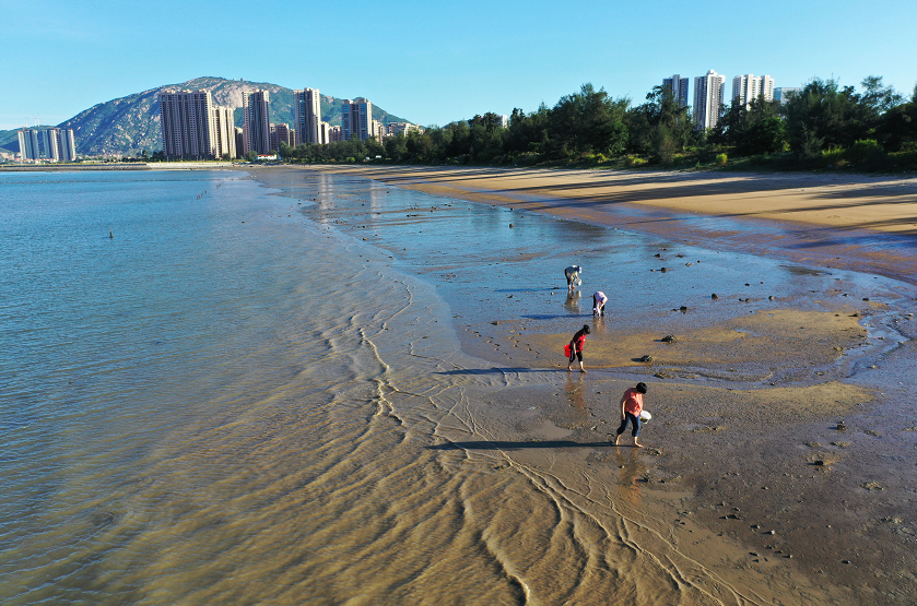 端午出游|海边冲浪正当时！