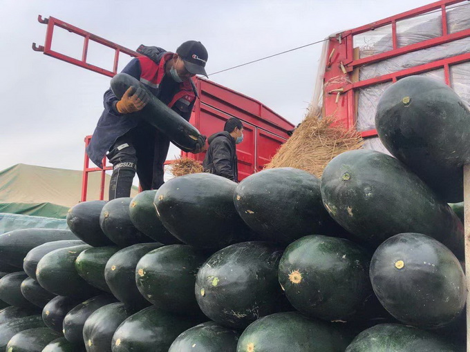 春菜大量上市，新发地菜价开始下降，大葱价格出现明显回落