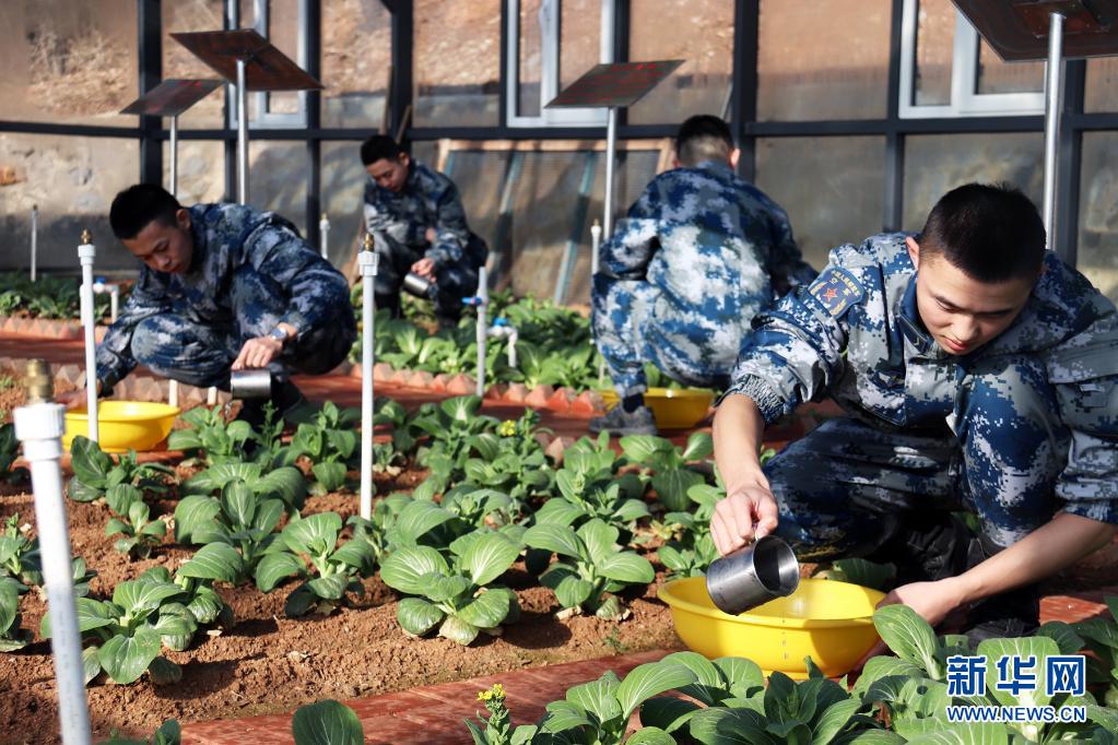 永不生锈的钢钉——走近海岛雷达兵心中的“红色前哨”