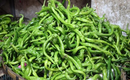 贵阳农贸市场辣椒价格回落！年前10元一斤的长青椒，现在最低已降到1.5元